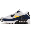 Кроссовки Мужские Nike Air Max 90 Essential Michigan White Blue